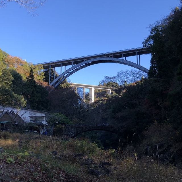 宮崎が東国原出馬で熱くなる！