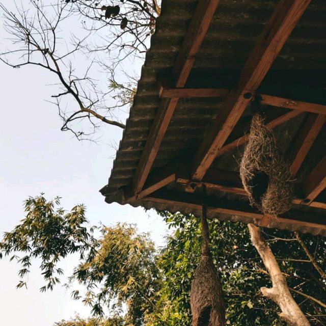 A day with nature❣️