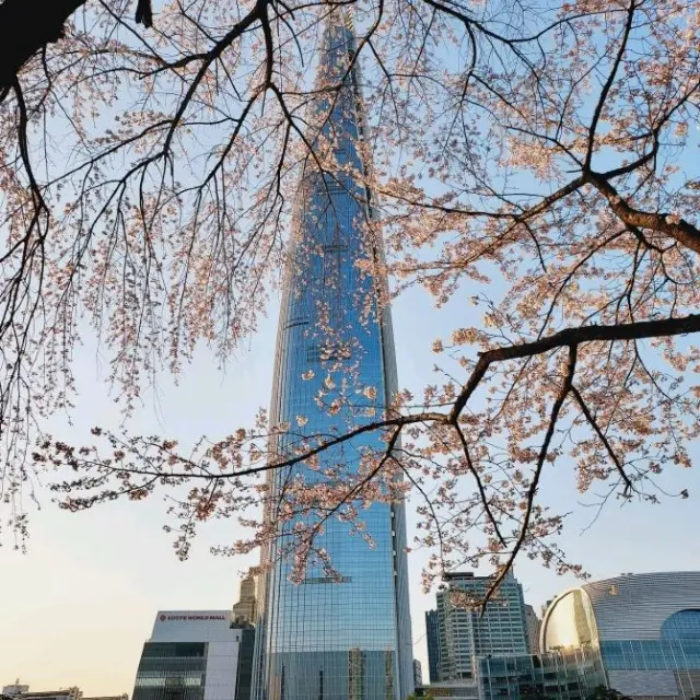 Blossoms at Seokchon Lake