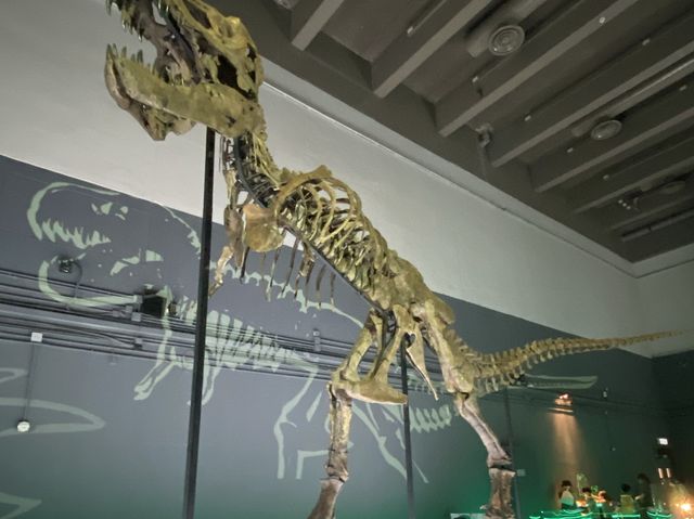 🦕八大．尋龍記🦖