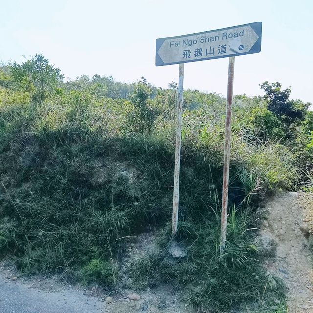 秋高氣爽，飛鵝山道，心曠神怡！