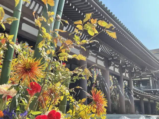 【福岡】博多駅から歩いて寺院巡り