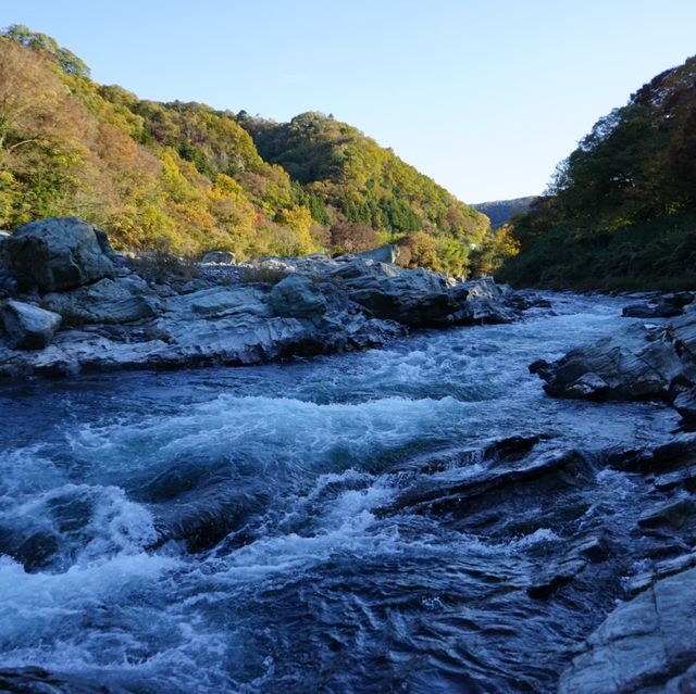 長瀞の紅葉ちょー綺麗！是非行ってみてください