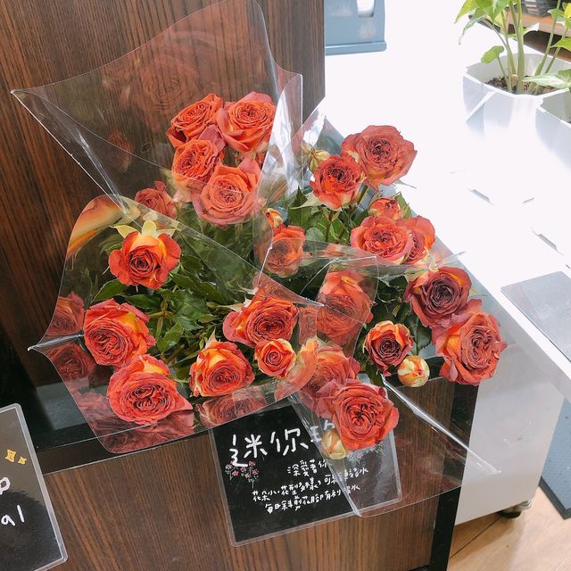 💐🪴發現美好UNIQLO Miramar Store UNIQLO 美麗華店🍀🌵