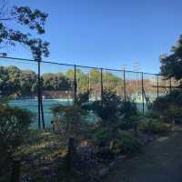 【東京都】秋の哲学堂公園🍁