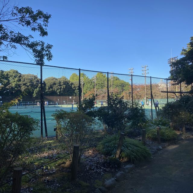 【東京都】秋の哲学堂公園🍁