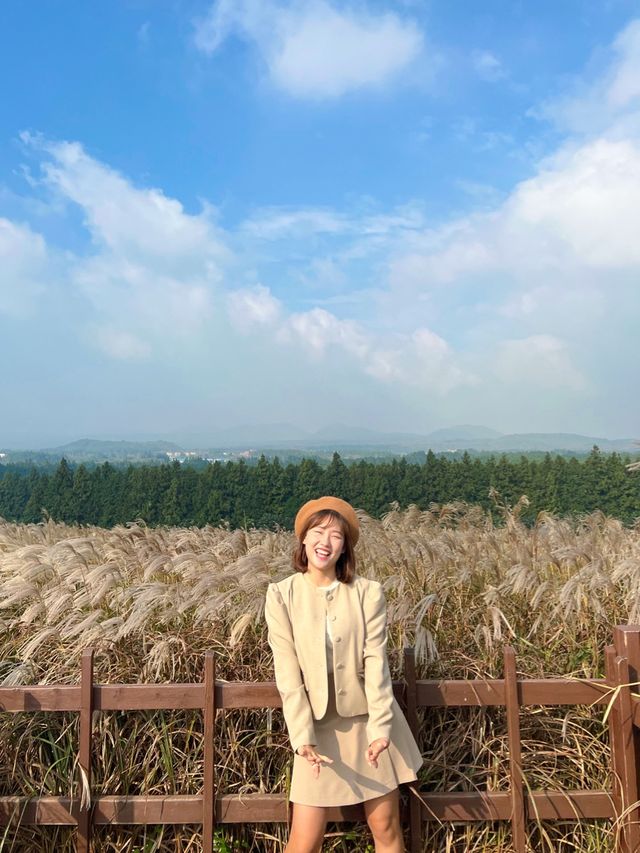 제주 가을감성 가득한 곳, ‘산굼부리’