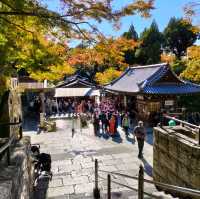 【京都 東山】音羽の滝