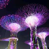 garden by the bay สิงคโปร์