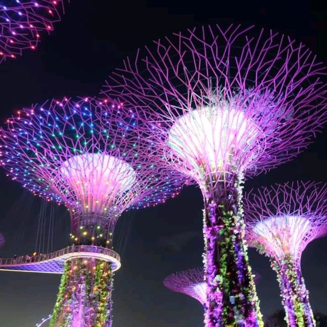 garden by the bay สิงคโปร์