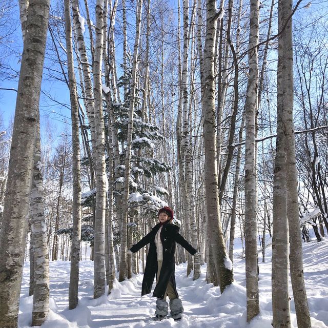 오겡끼데스까~👋🏻한겨울에 꼭가봐야할 삿포로 비에이 !