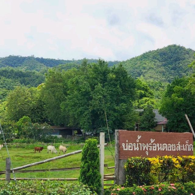 Thai Onsen, Doi Saket Hot Spring