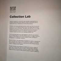 The Collection Lab Of Arts