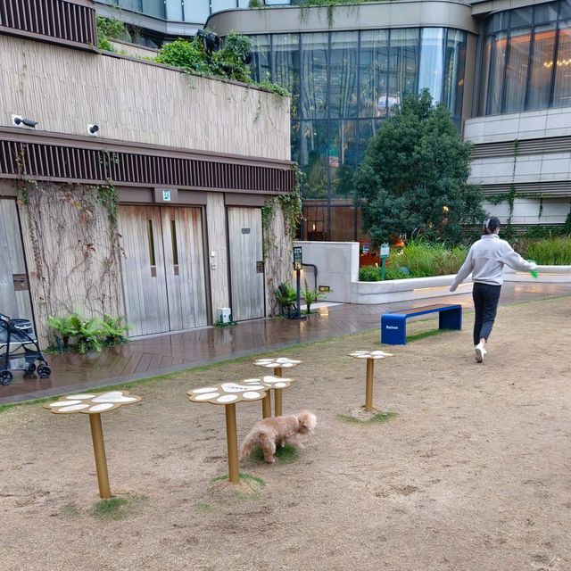 尖沙咀全海景 , 七樓頂樓平台！寵物公園！
