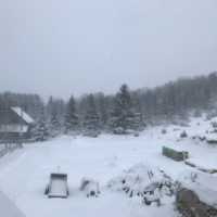巴爾幹半島蒙特內哥羅 大雪紛飛中的意外訪客