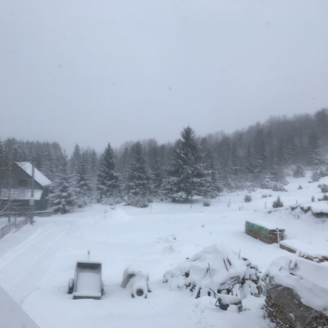 巴爾幹半島蒙特內哥羅 大雪紛飛中的意外訪客