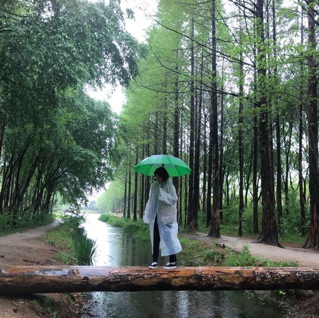 경주 구석에서 인생샷 찍을 수 있는 곳🌴
