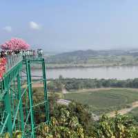 skywalk วัดพระธาตุผาเงา