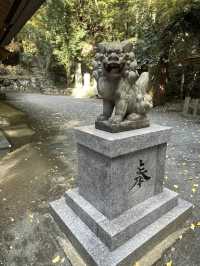 【福岡】九州のお伊勢さん