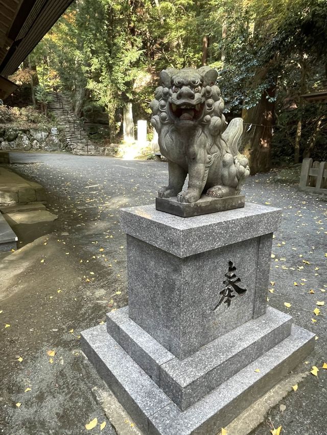 【福岡】九州のお伊勢さん