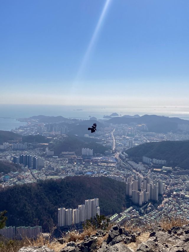 부산 가벼운 등산