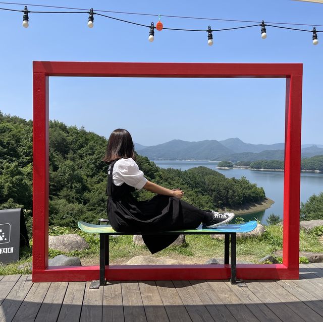 충주 악어 포토존 게으른악어🐊