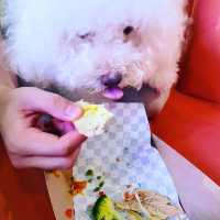 狗狗都入得嘅餐廳🥰