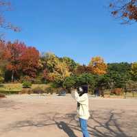 우리 나라 역사 명소 강릉 오죽헌♡