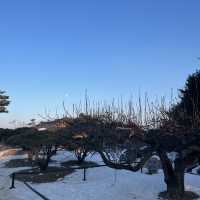 산과 바다뷰를 모두 갖춘 절, 낙산사에서 힐링하기