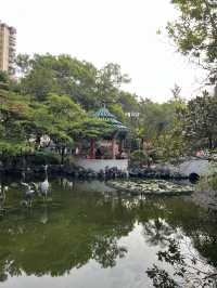 💕拖手漫步於荔枝角公園 👫