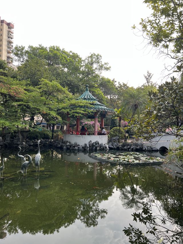 💕拖手漫步於荔枝角公園 👫