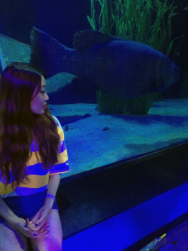 해운대에서 가볼만한 곳, 씨라이프 아쿠아리움🐠