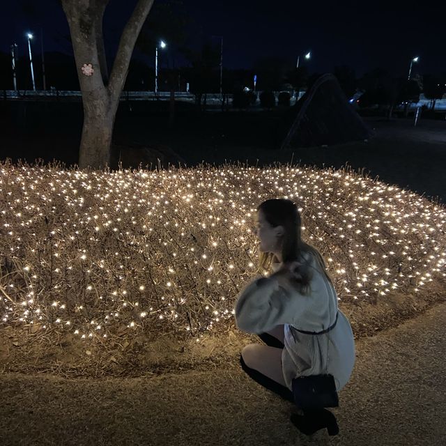 불빛 가득한 순천만 국가정원💐