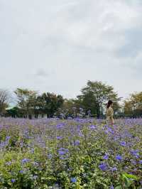 【群馬】季節のお花に囲まれる場所