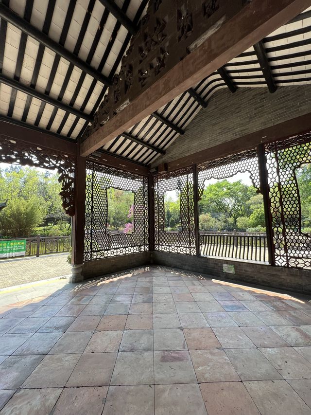 荔枝角公園放電 影相打卡 好去處🥰