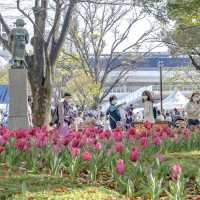横浜公園、ハマスタ、そしてチューリップ