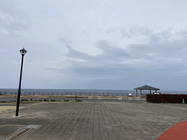 【東京・伊豆大島】仲の原園地