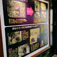 ゴリラのおうち　京都市動物園