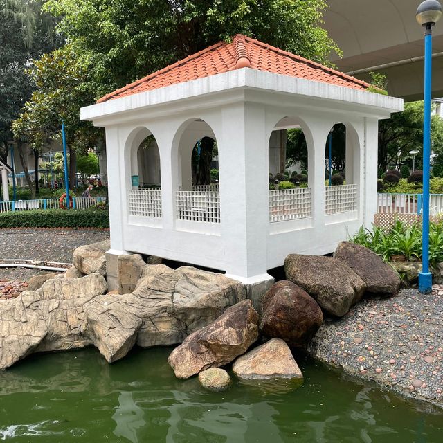 賞花的好地方-荃灣公園
