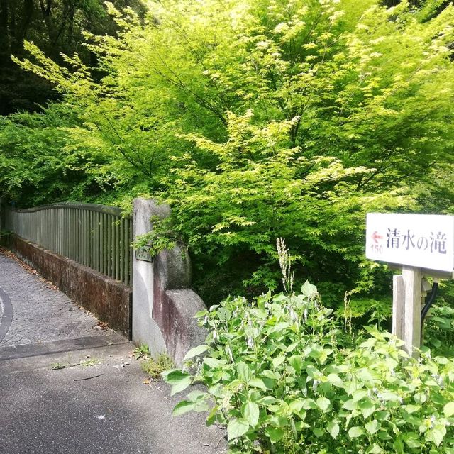 [佐賀]ショートTrip✨マイナスイオンに癒される場所❤️「清水の滝」