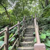 位於台北市區的仙境步道 富陽生態公園