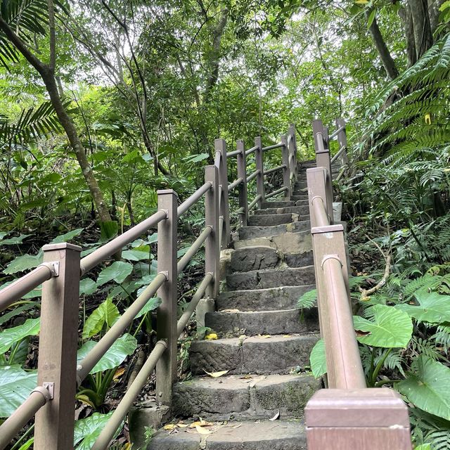 位於台北市區的仙境步道 富陽生態公園