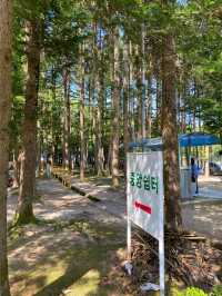 서울 근교 취사 가능한 차크닉 명소 ‘광주 금원수목원’ 🏕