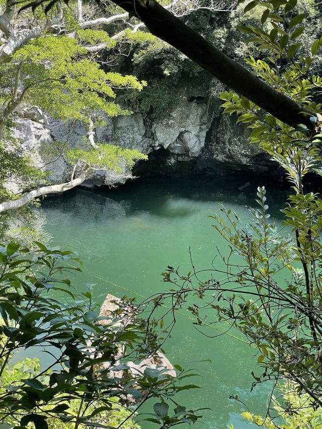 서귀포에서 카약과 테우를 탈 수 있는 곳, 쇠소깍🏞