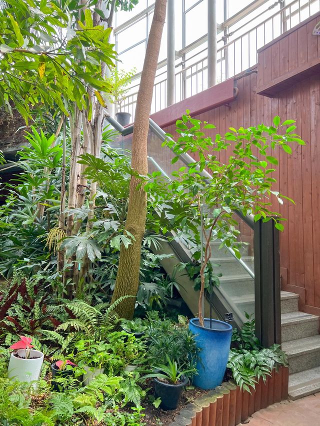 실내에서 즐기기 좋은 부천식물원🌵💚