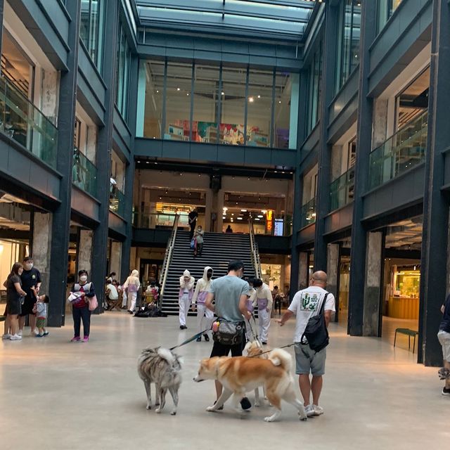 Pet Friendly南豐紗廠