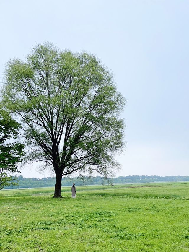 群馬＊群馬県立館林美術館