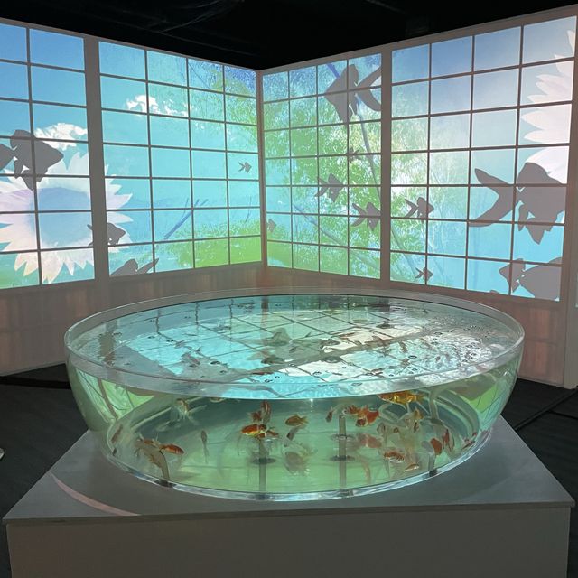 【奈良県】日本最大級の金魚ミュージアムを堪能！