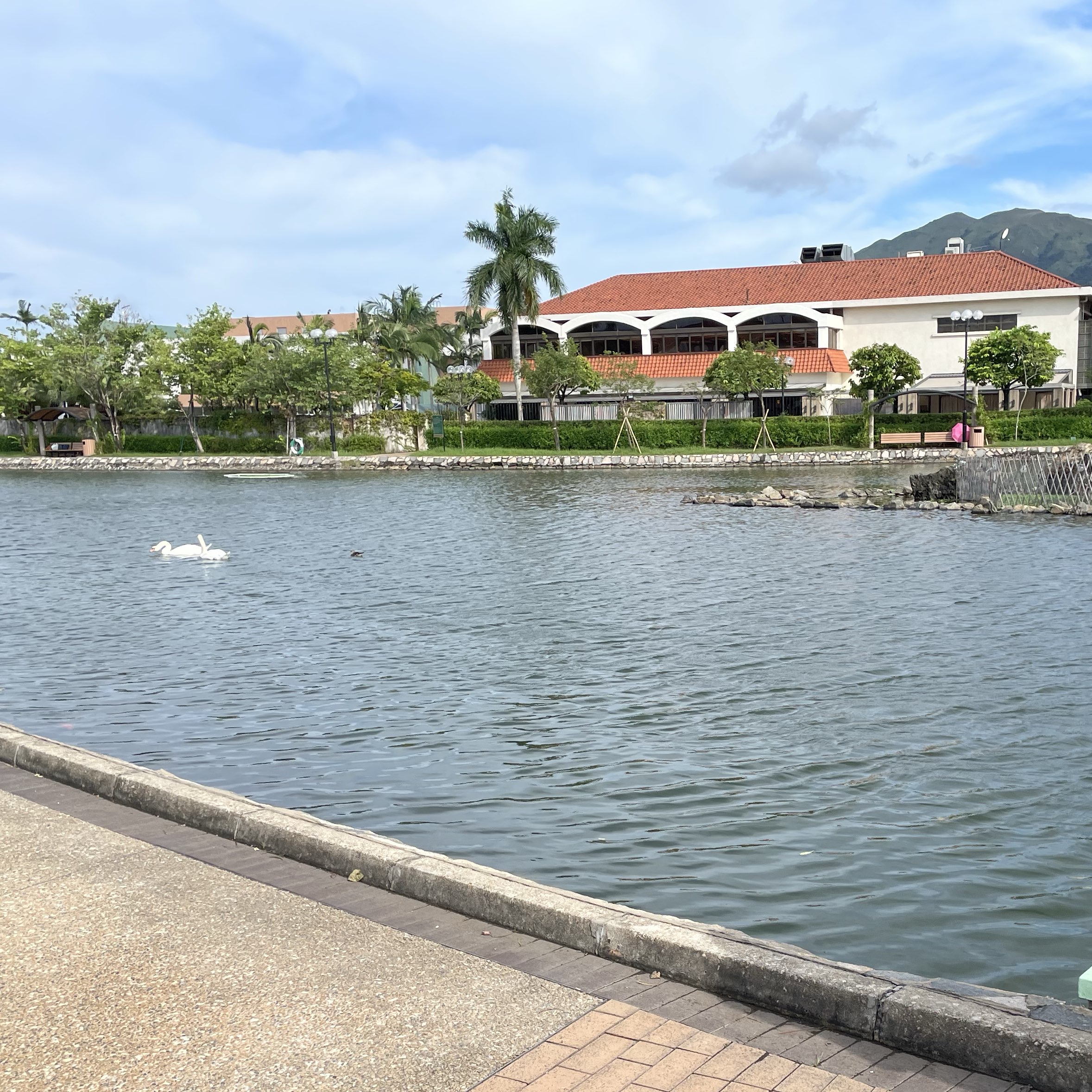 錦綉花園人工湖 Trip Com 元朗區