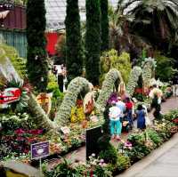 The Hanging Gardens - Mexican Roots 